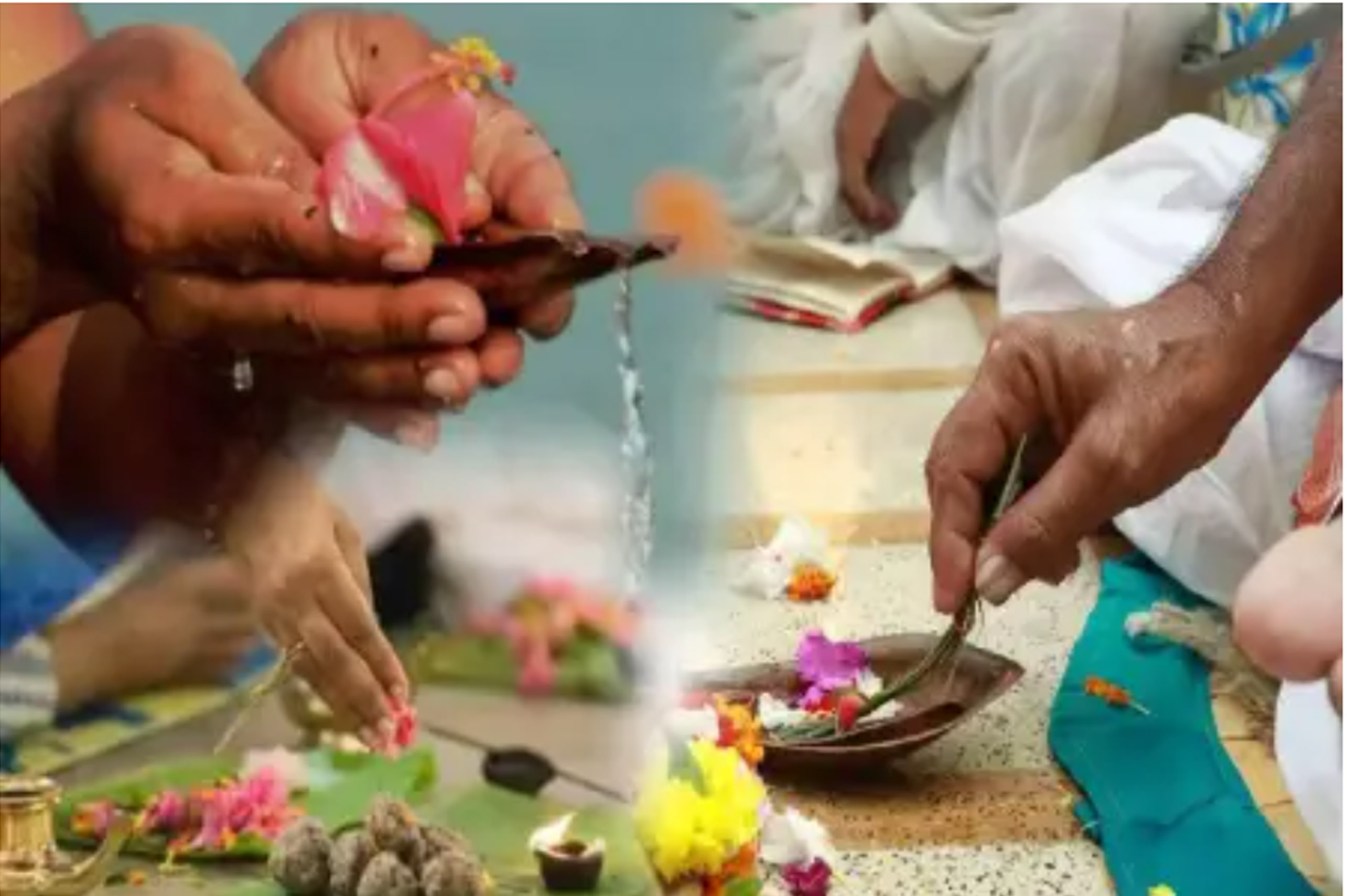 जीते-जी तरसाए… मरणोपरांत पकवान क्यों?” मां-बाप को ज़िंदा रहते गले लगाओ – यही है असली श्राद्ध।